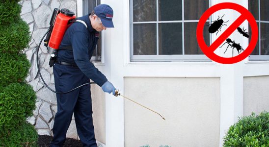 Akçakent Bit İlaçlama böcek ilaçlama ve haşere kontrolü — ilaclama-tr.com